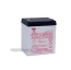 BATTERY-YUASA-NPX-25-250FR